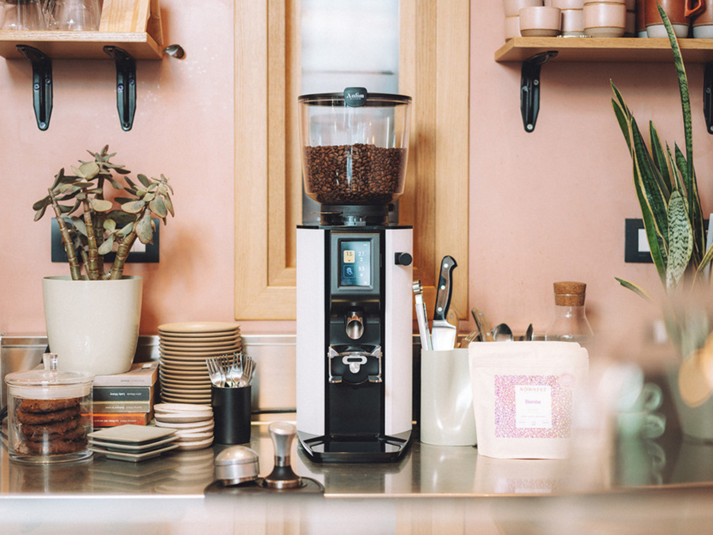 Anfim Alba Commercial Coffee Grinder | Pro Coffee Partners