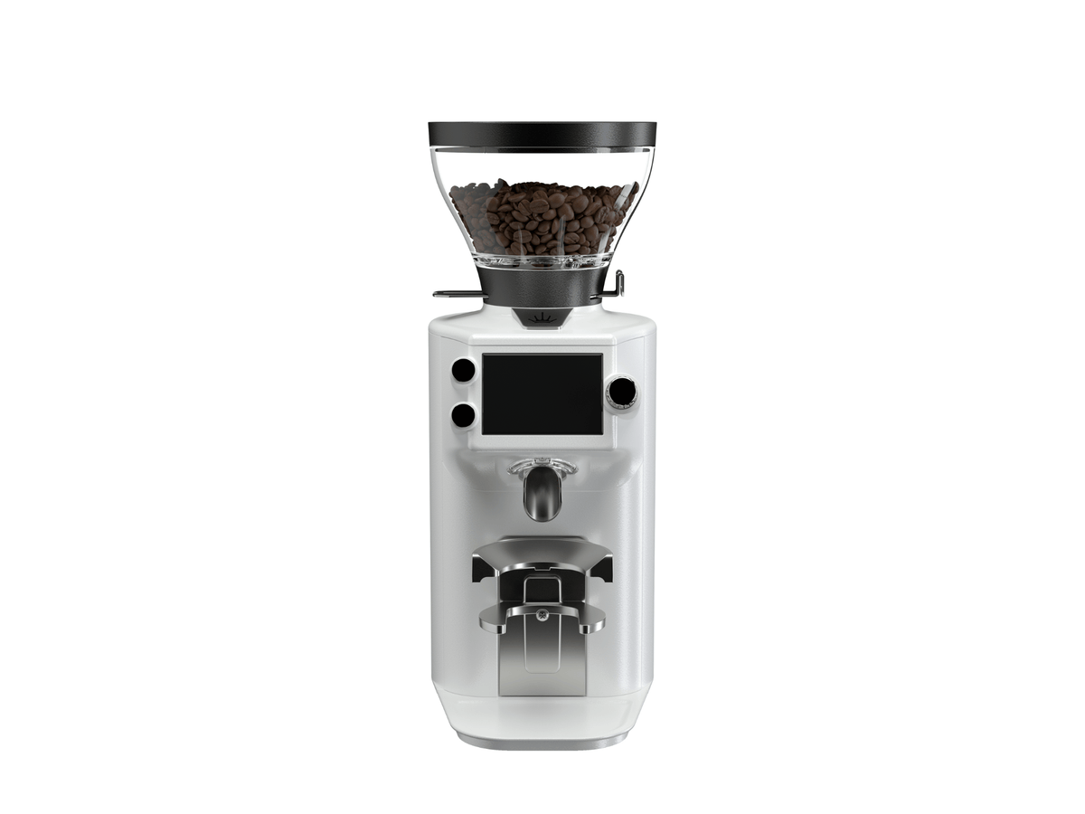 E64 WS